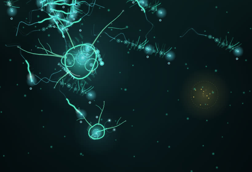 A Verdant nucleus sending roots toward glowing pools